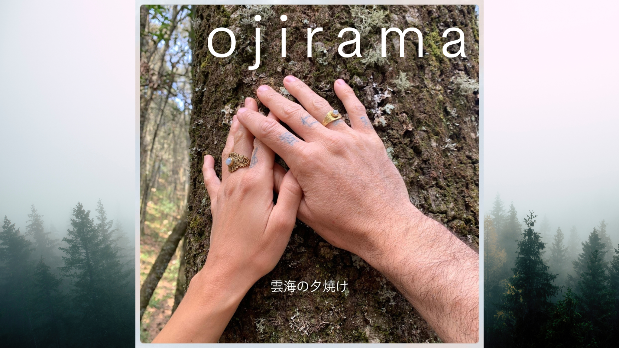 Dos manos tocando el tronco de un árbol en el bosque